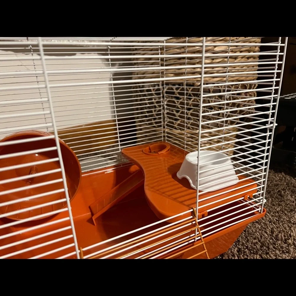 Miss Hollow Hamster Cage